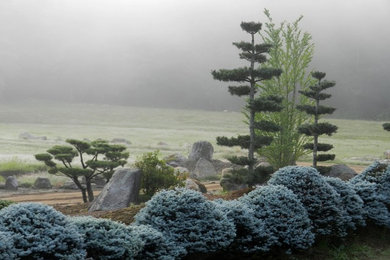 Inspiration for an asian landscaping in Manchester.