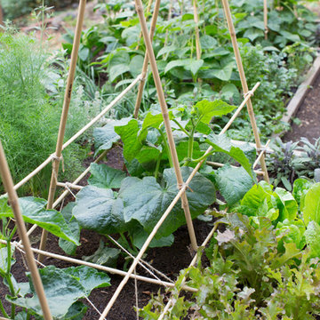 Pine House Edible Gardens