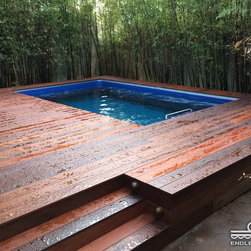 Original Endless Pools&reg; - Products