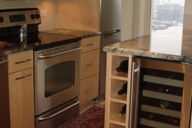 Kitchen - contemporary kitchen idea in Chicago