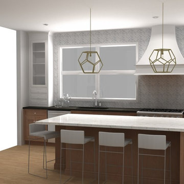 Renders