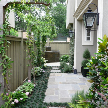 Modern Side Yard and Entrance