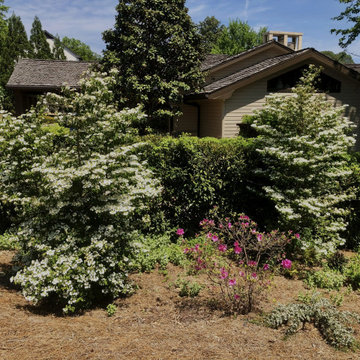 Riverview "Resort-Style" Estate