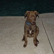 Barney Barney's photo