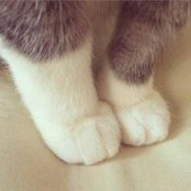 Hajar Mohammed's photo