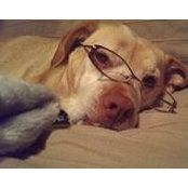Lulu Snortimer's photo