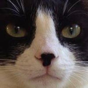 Linelle Lane's photo