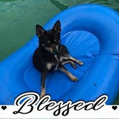 Margo Homman-Smith Galloway's photo