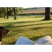 Paula Knowlton's photo