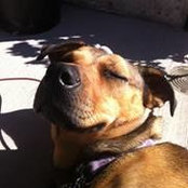 Juniper Buller's photo
