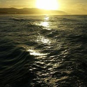 Foto von Diane Richfield