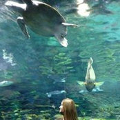 Nicki Whiteman's photo