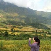 Phuong Nguyen's photo