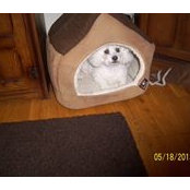 Kim Ullah's photo