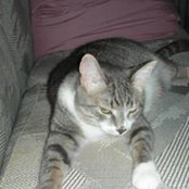 Laurie Engler's photo