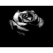Sally Hesham's photo