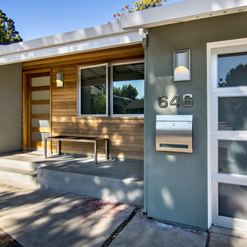 Mid-Century inspired house