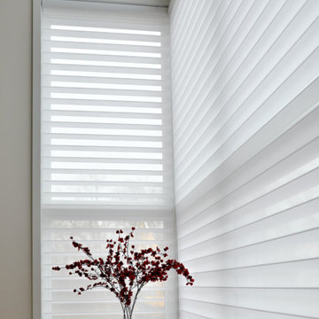 Silhouette Window Shadings