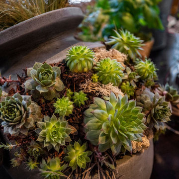 Green Thumb