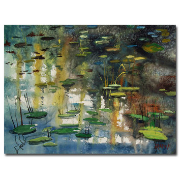 'Faces in the Pond' Canvas Art by Ryan Radke