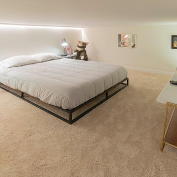 Lil Bub's Really Nice Apartments