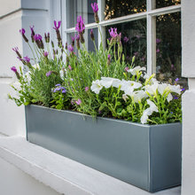 Garden / Window Boxes