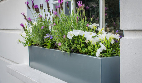 Ask an Expert: 13 Ways to Green-up Your Front Garden