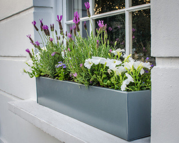 Contemporary  by The Plant Pot Shop