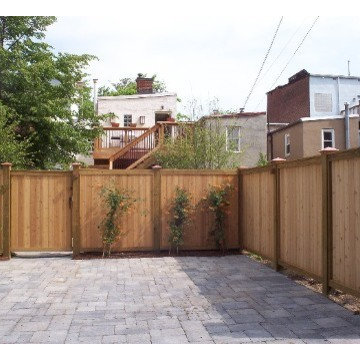 DC urban backyard