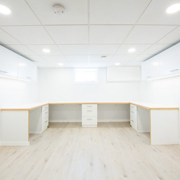 Bright and Spacious Basement