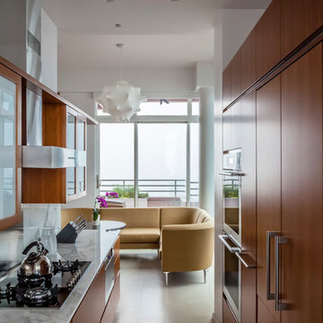 Upper East Side Penthouse