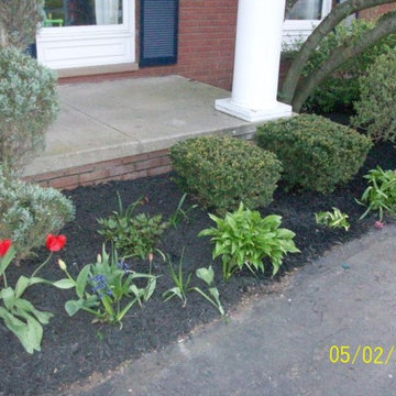 Shaheen spring clean-up