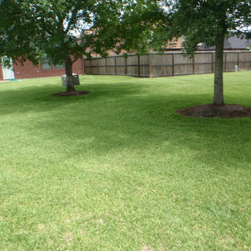 Sproul Before Tree Rings