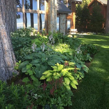 SHADE Garden