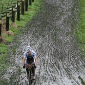 Dan Warren's photo