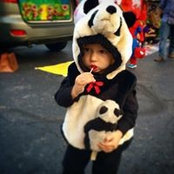 Nancy Pozin's photo