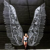Ali Schmitt's photo