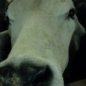 Pete Grandison's photo