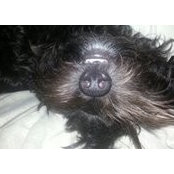 Rebecca Perrini's photo