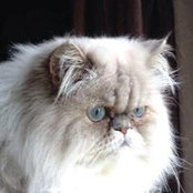 Sue Spradlin's photo