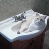 Foto de Amanda Wright