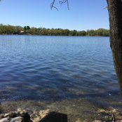 Laura's photo