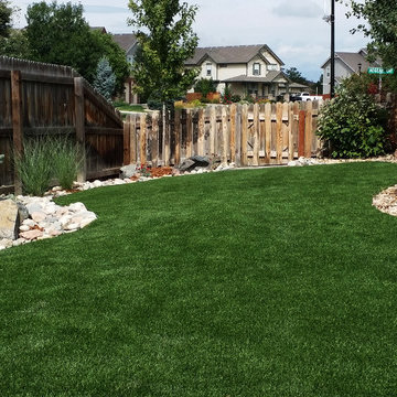 No Mow/No Water Lawn in Longmont