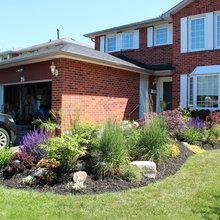Low Maintenance Gardens
