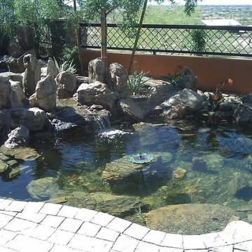 Ponds and Koi Ponds
