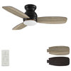 CARRO Low Profile Flush Ceiling Fan with Remote and Dim LED Light, Black, 44"