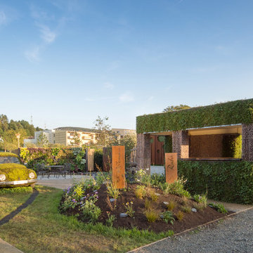 Natur in Alzenau 2015