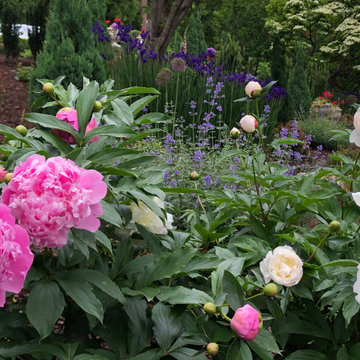 Gardens