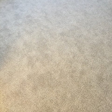 Royalty Carpet - Pet Protect