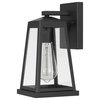 Edisto 11" 1-Light Matte Black Painted Outdoor Wall Sconce Lamp